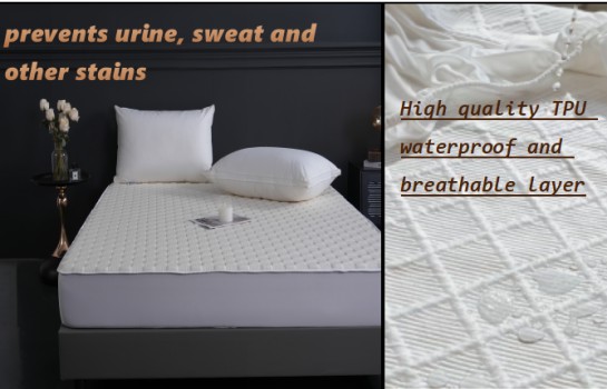 ZC24010 Ultra Soft Premium Cotton Jacquard Waterproof Mattress Protector ZC24010 Ultra Soft Premium Cotton Jacquard Waterproof Mattress Protector