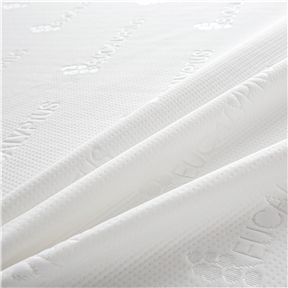 Eucalyptus Eucalyptus