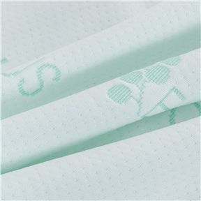 Eucalyptus Eucalyptus